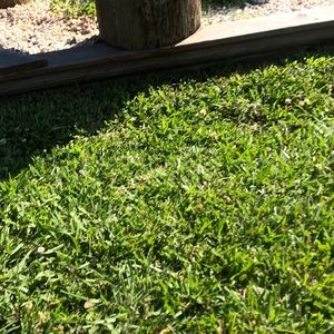 Meet your Posher, Deanne